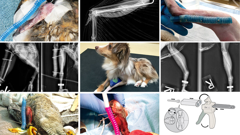 Applications | Acrylic External Fixation