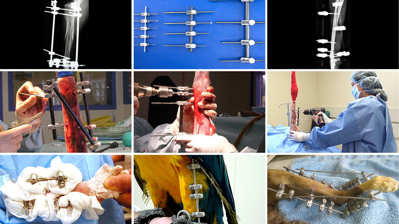 Applications | Linear External Fixation