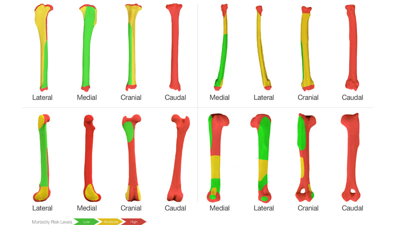 External Fixation Pin Placement Zones