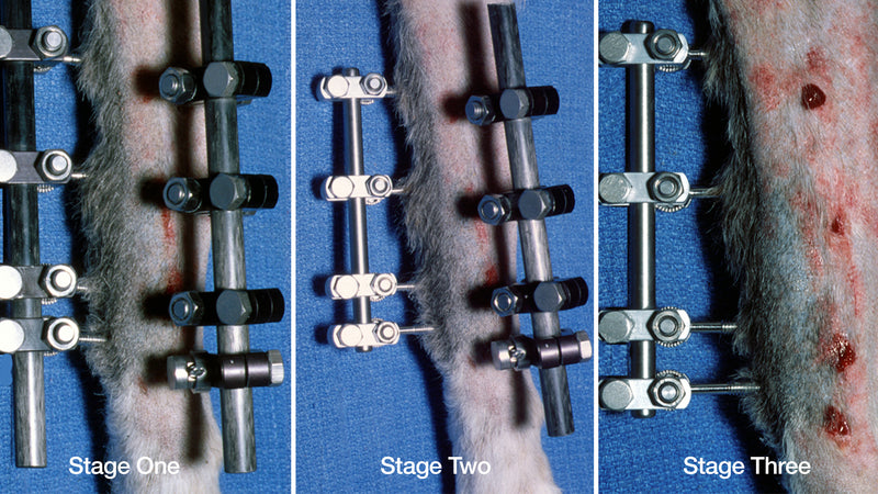 Staged Disassembly | Type Ib → Type Ia